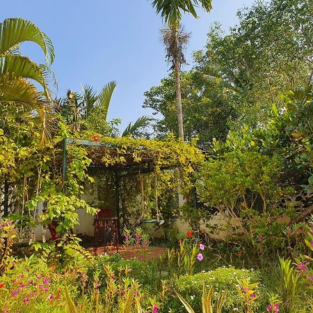 קאן טו Villa My Long מראה חיצוני תמונה